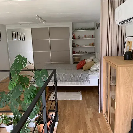 Apartment Cozy Loft 2 *