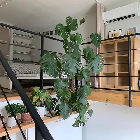 Cozy Loft 2 Appartement *