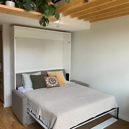 Cozy Loft 2 Appartement *